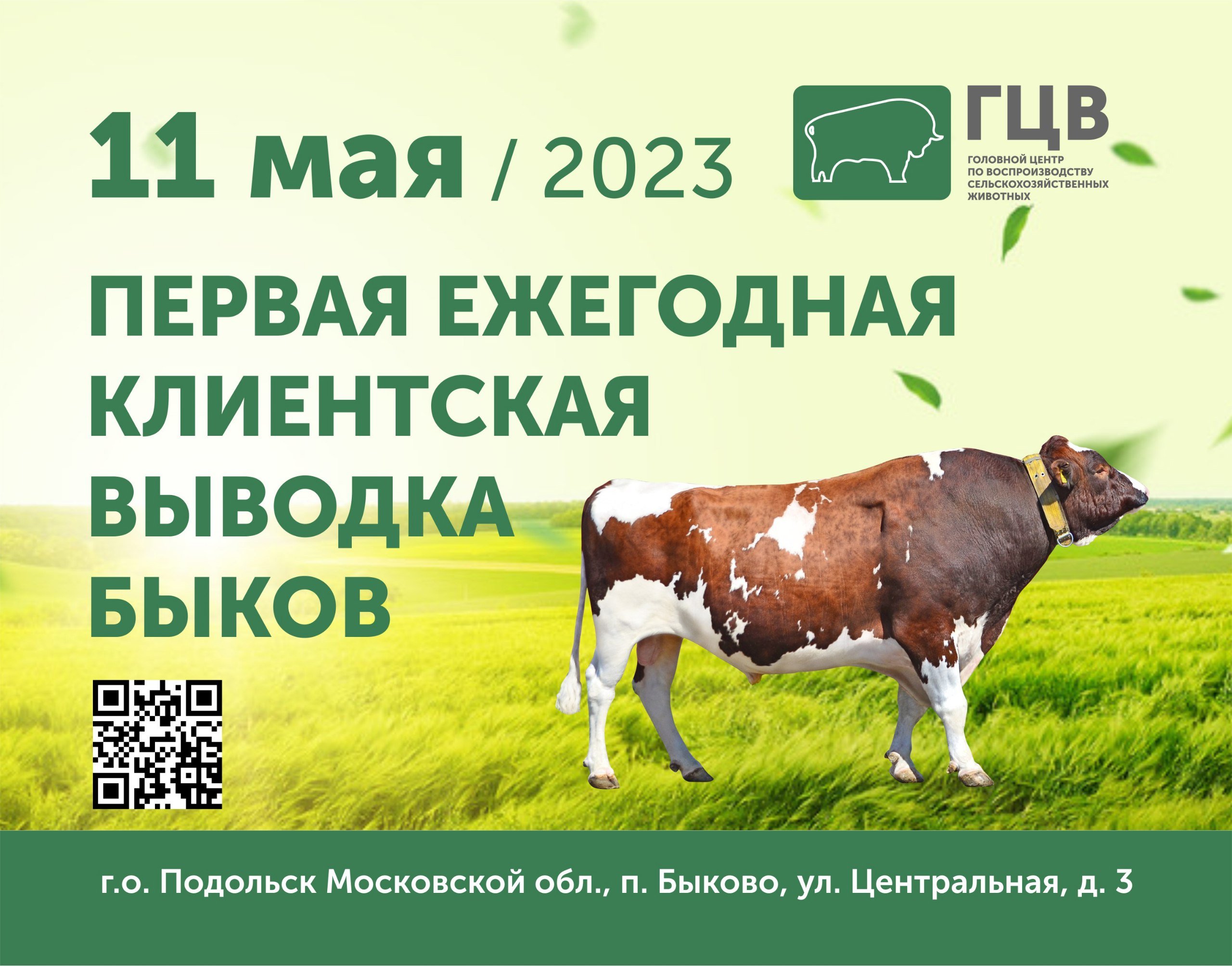 Выводка быков производителей 11.05.2023